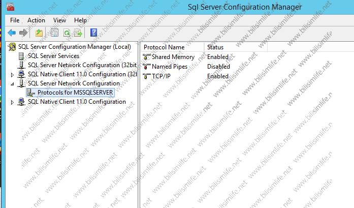 SQL Server Uzaktan Bağlanma / Ağ Ayarları