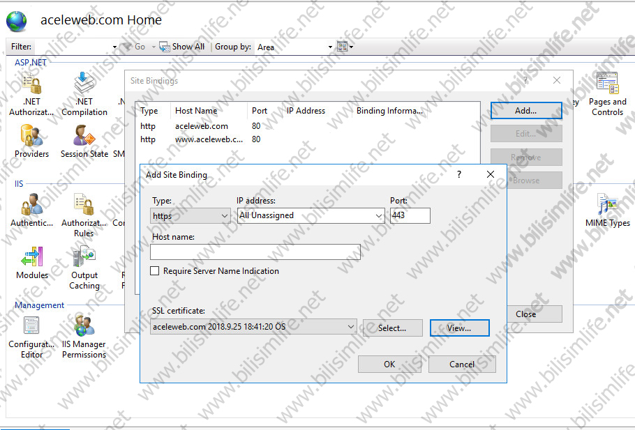 Windows Server IIS Lets Encrypt Kurulumu